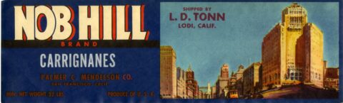 Nob Hill